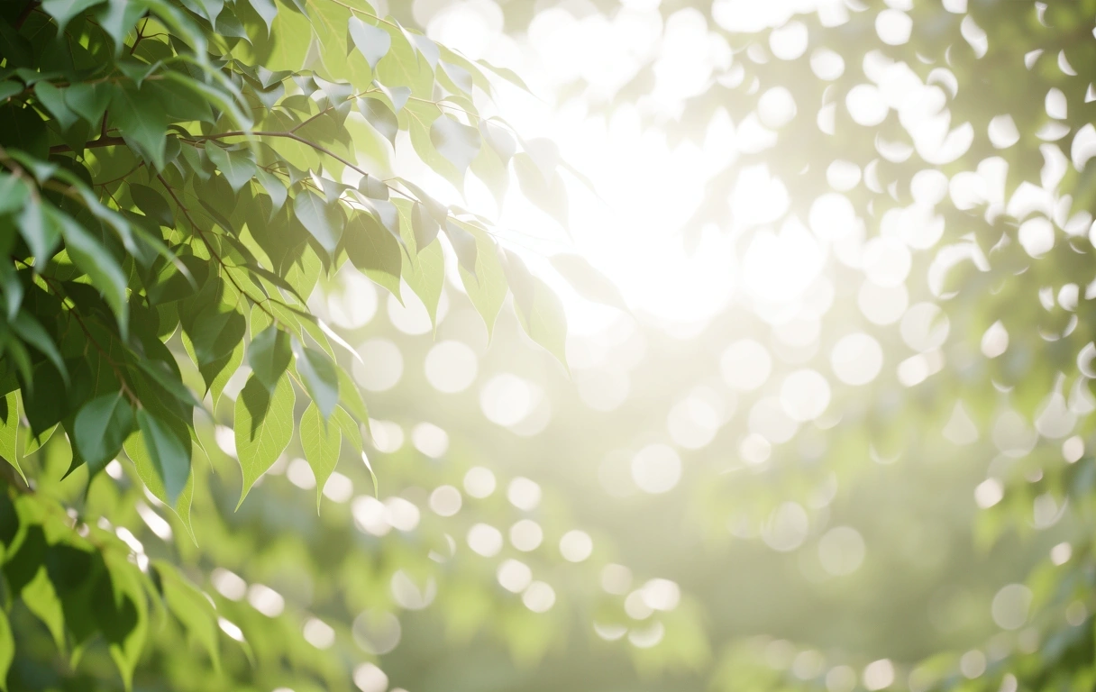 Lumière naturelle et extérieur